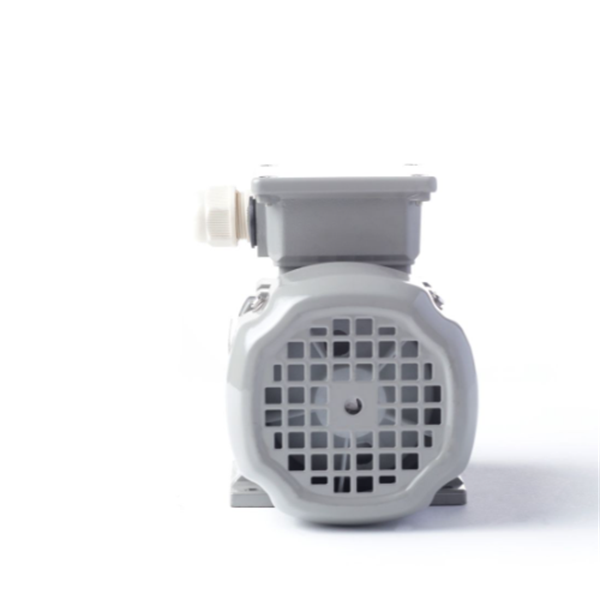 德國(guó)AC MOTOREN三相異步雙速電機(jī)AC09S8400002