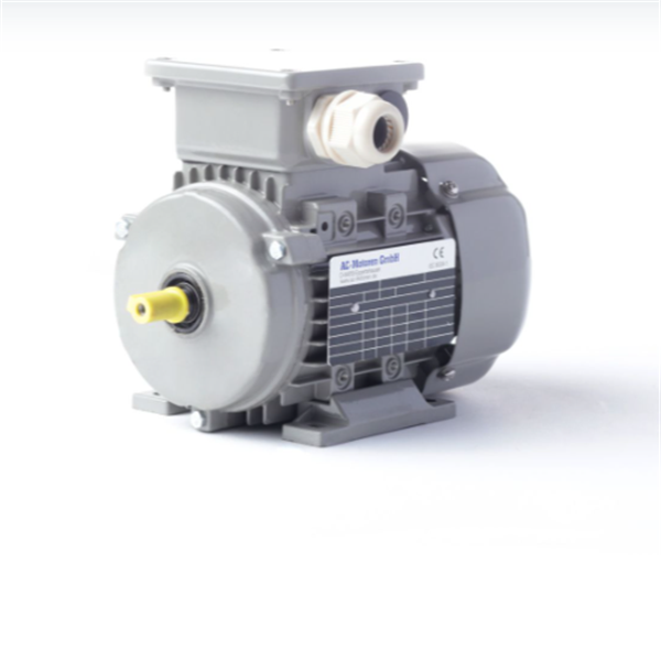 德國(guó)AC MOTOREN三相異步雙速電機(jī)AC09S8400002