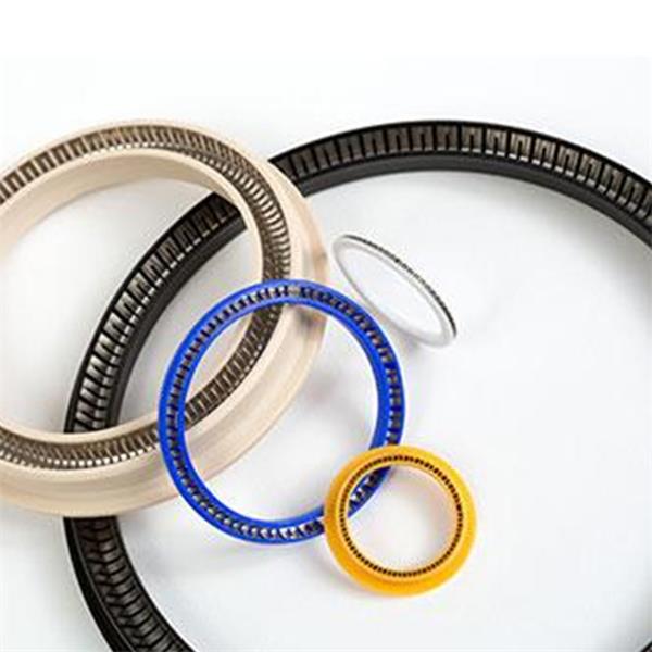 圣戈班 saint gobian 彈簧蓄能密封圈OmniSeal? 103