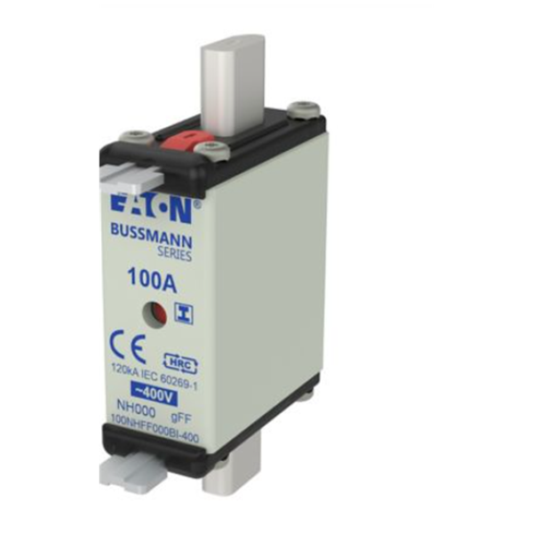 EATON伊頓Bussmann系列快速圓帽式熔斷器 FWX-50A14F